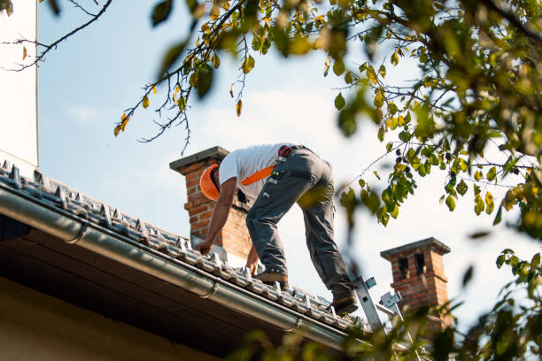 Best Gutter Installation and Roofing  in St Bonaventure, NY