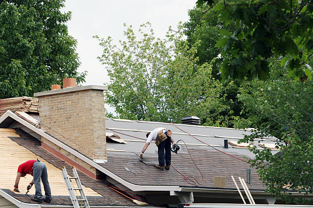 Best Roof Gutter Cleaning  in St Bonaventure, NY